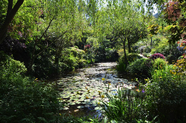 הגן במוזיאון צ'יצ'ו מעוצב כמו זה של מונה בז'יברני. ציורי חבצלות מים שלו מוצגת במוזיאון | צילום: benesse-artsite.jp ©
