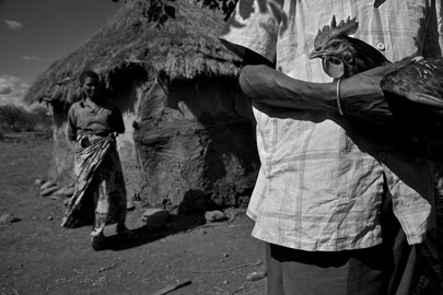טנזיה, צילום: דורון הורוביץ, כל הזכויות שמורות