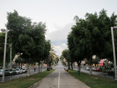 שדרות בן ציון בתל אביב, צילום: גיא עולמי