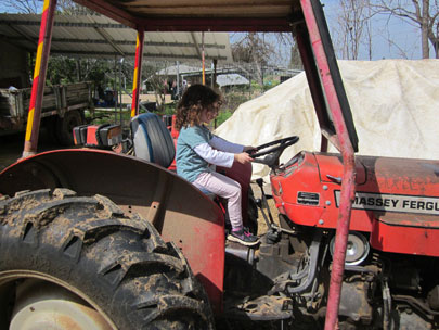 החווה בתל אביב. אפשר גם לנהוג בטרקטור