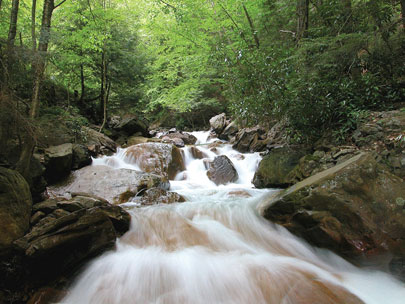 הרי הפוקונוס. נוף טיפוסי