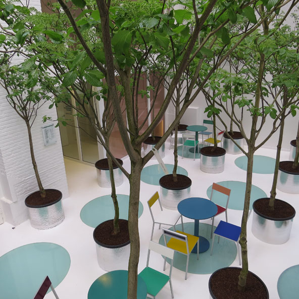 אחד משלושה מוקדים של גינון פנימי במרכז לעיצוב MAD | צילום: רוני ערן