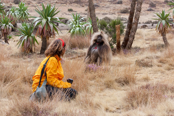 מפגש קרוב עם בבון