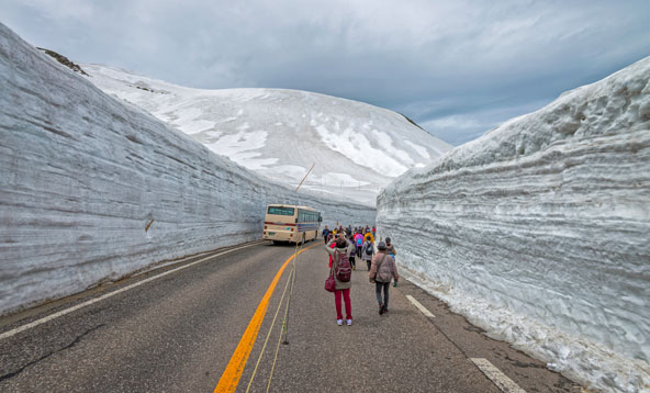 הדרך החוצה את האלפים היפניים. השלג שפונה מהכביש נערם לגובה רב משני צדדיו