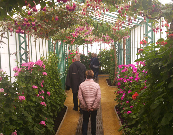 מבקרים משוטטים באחת החממות המלכותיות | צילום: רותם בר כהן