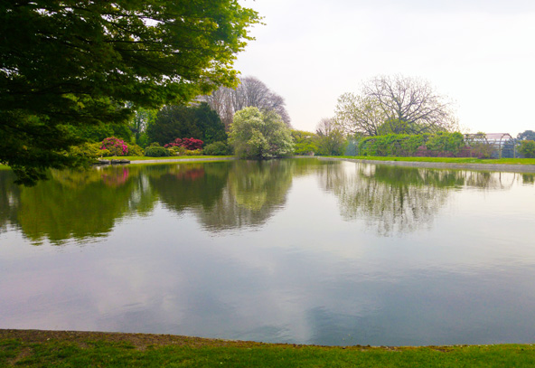 אגם מוקף בעצים ושיחים פורחים, חלק מגני המלך הנרחבים בשכונת לאקן | צילום: רותם בר כהן
