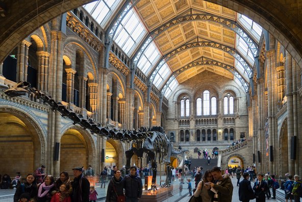 הכניסה למוזיאון הטבע בלונדון אינה עולה כסף | צילום: Mihai Speteanu / Shutterstock.com
