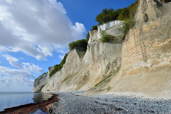 הצוקים הלבנים באי נום בדנמרק | הצילומים בכתבה: שאטרסטוק