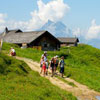חופשת קיץ באלפים השוויצריים: חיים בתוך גלויה