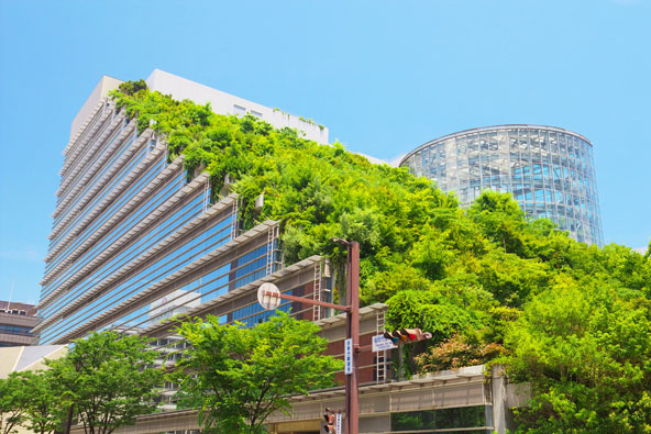 גנים ירוקים שנשתלים על גבי בניינים מודרניים תורמים לריכוך הנוף העירוני