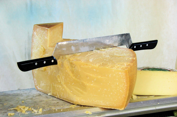 גבינה מקומית. הטעמים של קטלוניה טובים לא פחות מהנופים שלה