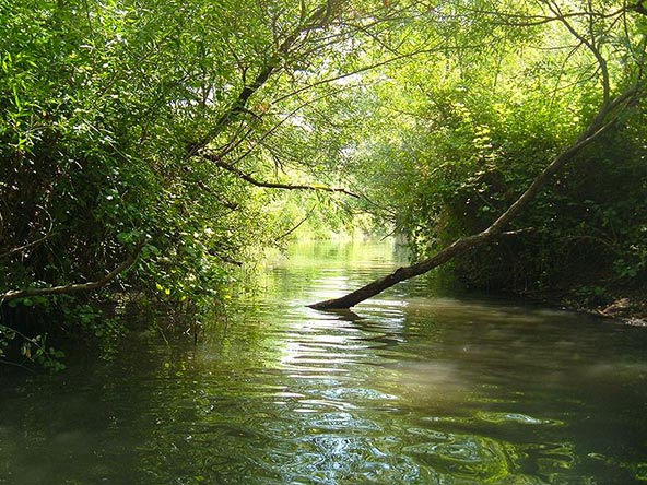 המג'רסה, טיול מים אולטימטיבי