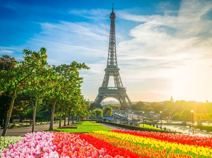 הפריחה משתוללת בפריז באביב, גם למרגלות מגדל אייפל