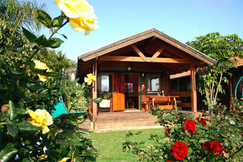 כחול ירוק בכפר