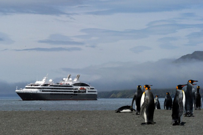 הפלגה לאנטארקטיקה ודרום ג'ורג'יה