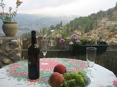 עין כרם – נוף על הוואדי