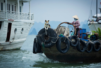 טיול צילום לוייטנאם עם הצלם משה שי