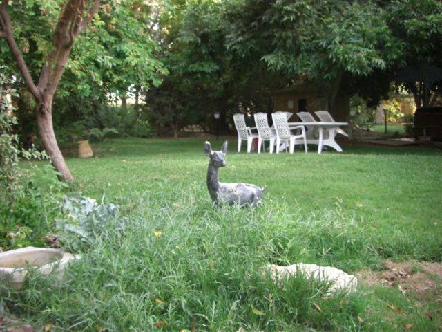 אואזיס גדיש