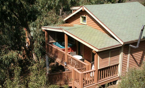 קינמון – מושב מי עמי