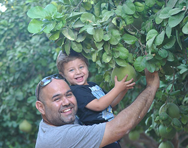 אליפז – חופש וחוויה בערבה