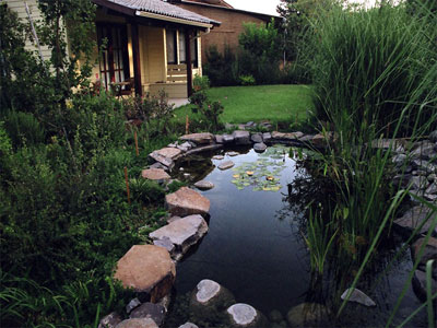 חלון לכוכבים – צימרים מיוחדים במושב רמות