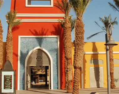 צל תמרים – גן עדן בערבה