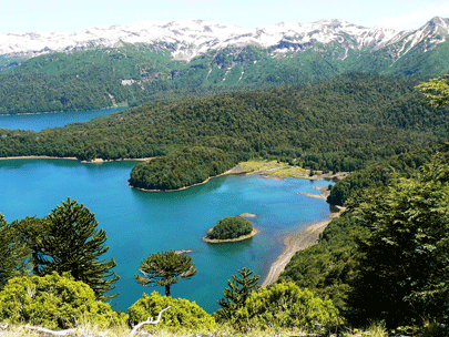 אזור האגמים בצ'ילה: מים מכל עבר