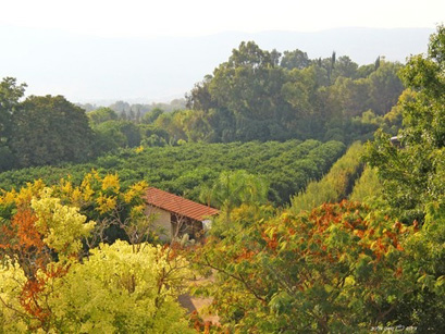 פירות ואירוח נוריאל – צימרים בשאר ישוב