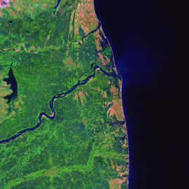 מפת יערות מנגרוב בקולדורה, הודו מפת יערות מנגרוב בקולדורה, הודו