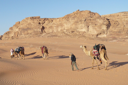 טרק ב"אווירה בדואית" – מחומיימה לערנדל