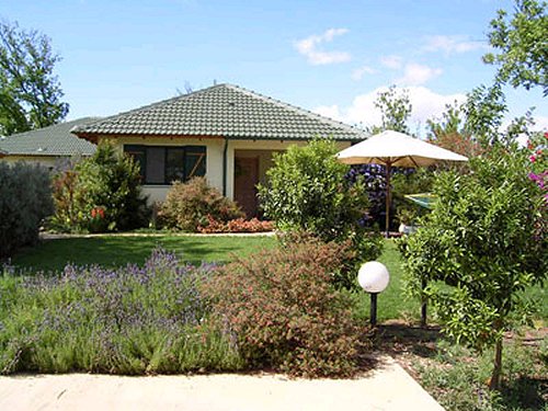 אצל אמירה וג'ורג' ביסוד המעלה