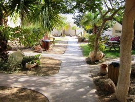 מעיין במדבר