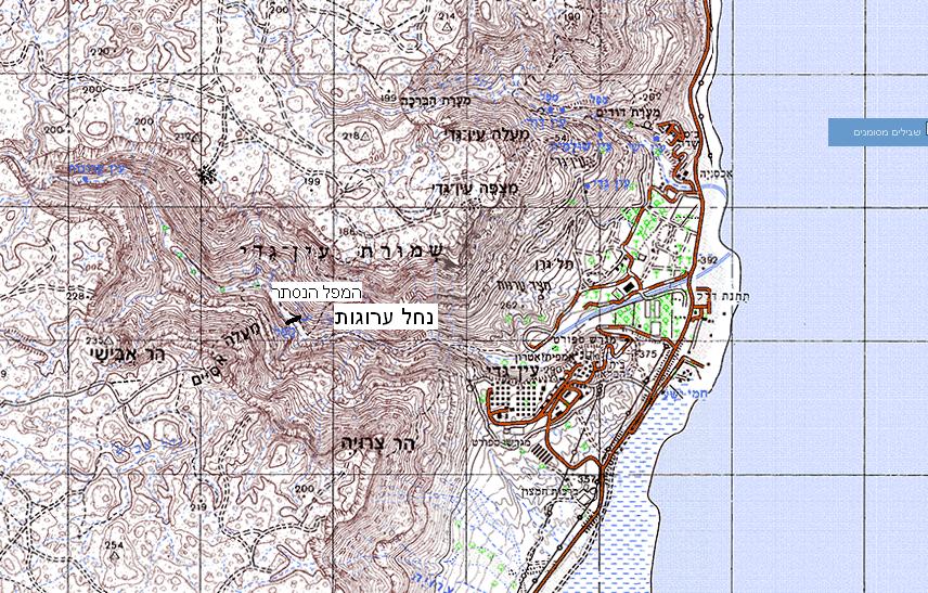מפת נחל ערוגות מפת נחל ערוגות