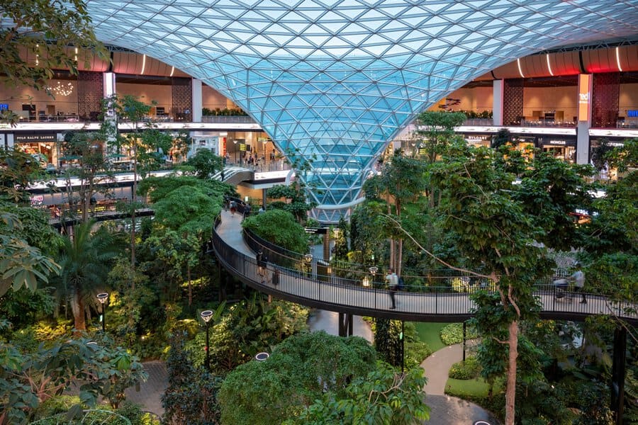 הגן הבוטני בנמל התעופה של דוחה | צילום: Q world / Shutterstock.com