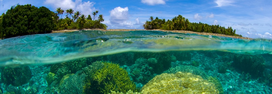 איי מרשל - המדריך המלא לטיול לאיי מרשל