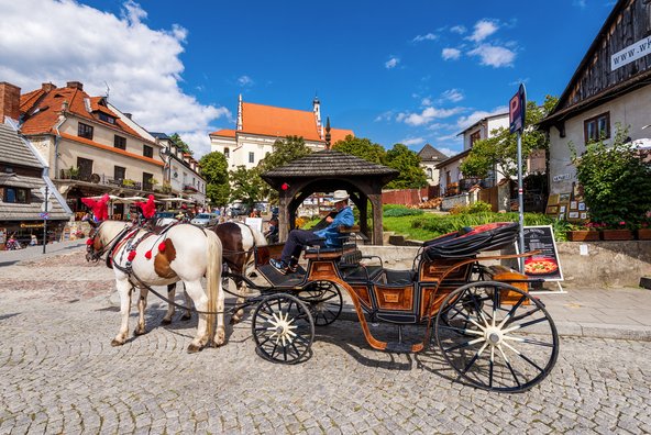 עגלה רתומה לסוס ממתינה לתיירים בעיירה הציורית קז'ימייז' דולני | צילום: vivooo / Shutterstock.com