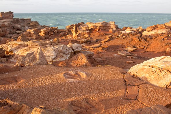 על הסלעים האדומים ב-Gantheaume Point אפשר לראות בבירור עקבות של דינוזאורים 
