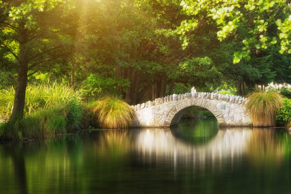 הגנים הבוטניים של קווינסטאון. אטרקציה נהדרת בחינם