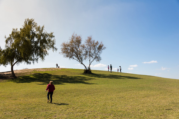 נוף באזור הבשור. בחורף השטחים הללו מתכסים במרבדי פריחה
