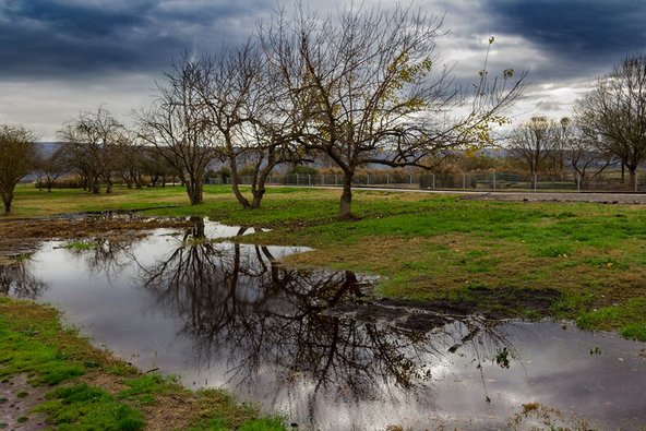 בריכת חורף בעמק החולה | צילום: אמיר ארליך