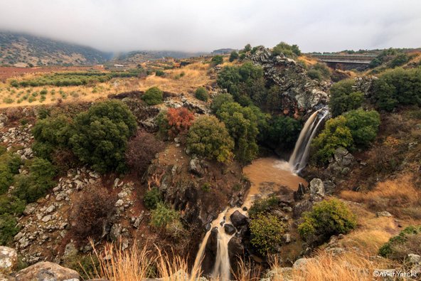 מפל סער נופל בשצף בשלוש מדרגות | צילום: אמיר ירחי