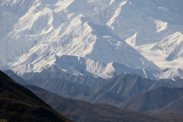 אלסקה פרימיום