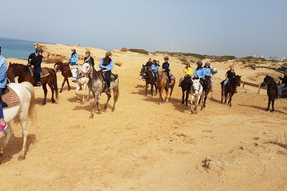 רכיבה מעל הים במצוקים של שמורת תל גדור | צילום: חוות הקקטוס