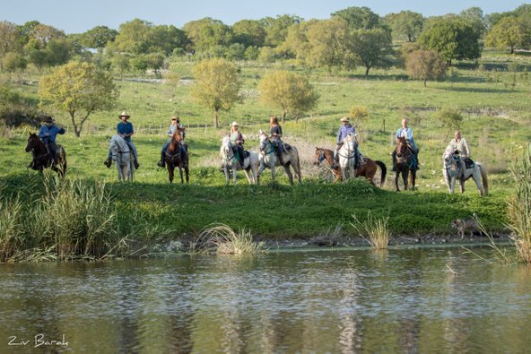 טיול סוסים לגדות נחל שלף השופע מים בחורף ובאביב | צילום: באדיבות חוות דובי