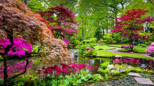הגן היפני בהאג. יכול להתחרות בהצלחה בגני יפן