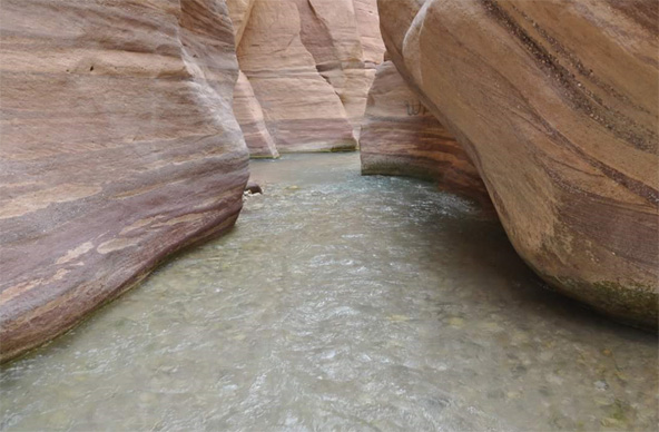 מים זורמים בין קירות אבן ענקיים, ואדי חסה | צילום: ליהי רון