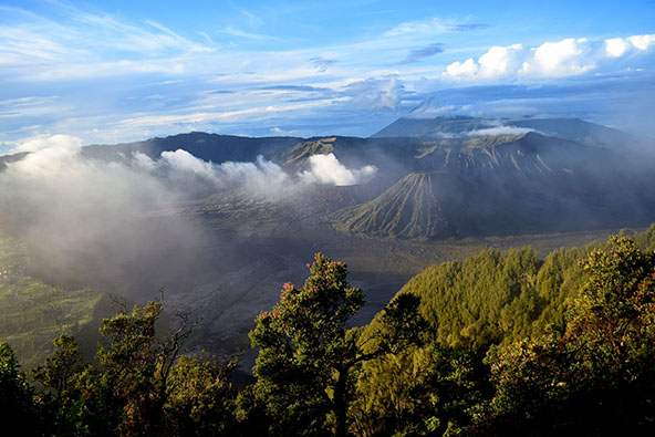 אינדונזיה וסינגפור כולל האי פלורס ודרקוני הקומדו