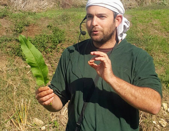יתיר שדה. ליקוט כדרך חיים | צילום: טל רז