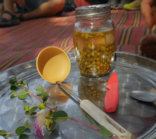 צלפים כבושים מתוצרת יתיר שדה