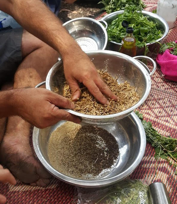 סינון תרמילי החרדל, השלב הראשון בהפקת חרדל ביתי | צילום: טל רז